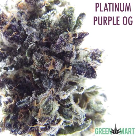 Platinum Purple Og Heavy Pre Packs Green Mart Beaverton Oregon