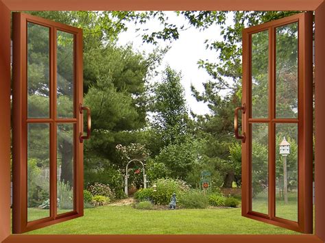 Gardenbackyard View From Inside A Window Wall Mural 36x48 Ebay