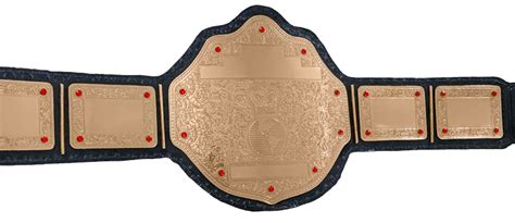 Just A Gold Championship Belt Proambelts
