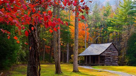 Log Cabin In Autumn Forest Forests Cabins Autumn Nature Hd