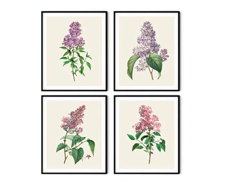 Lilac Print Set Of 4 Purple Flower Prints Kitchen Decor Etsy