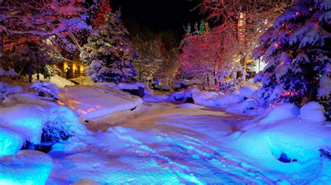 Noël Colorful Hiver Neige Nature Nuits Magiques Lumières Full Hd