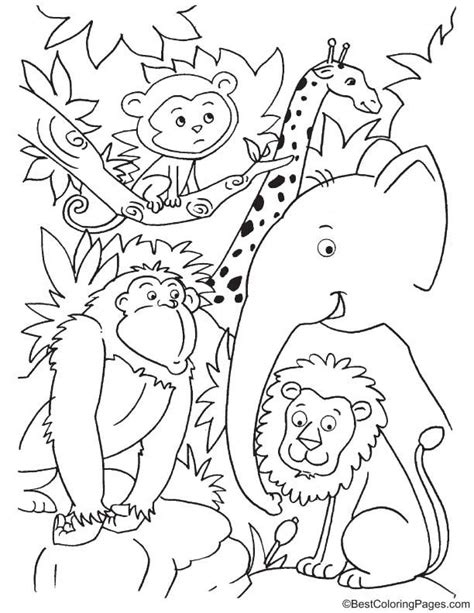Cute Animals In Jungle Coloring Page Animal Coloring Pages Jungle