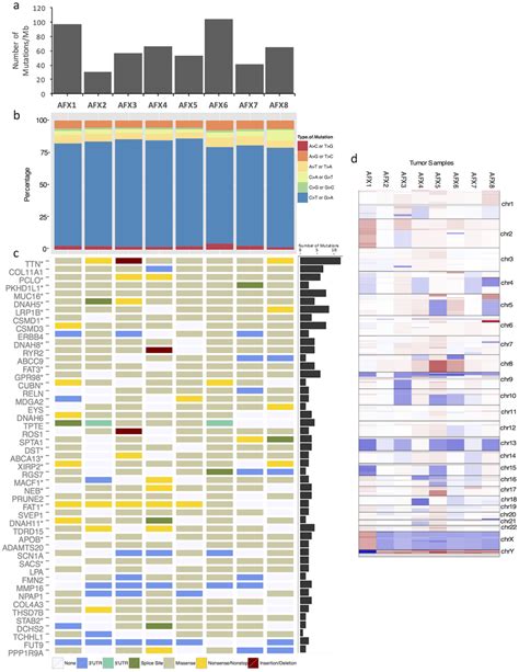 Whole Exome Sequencing Identifies Copy Number Variations And Frequent