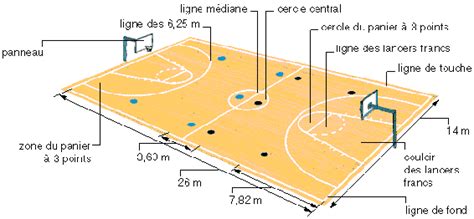 Terrain De Basket Quelles Sont Les Dimensions Officielles