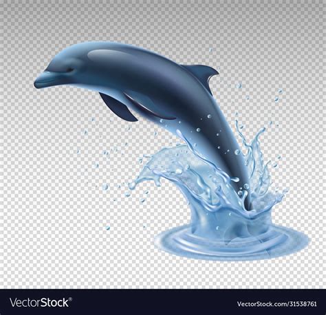 Jumping Dolphin Transparent Realistic Icon Vector Image