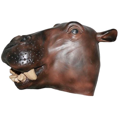 Nijlpaard Masker MisterMask Nl