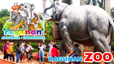 Kebun Binatang Ragunan Zoo Jakarta Youtube