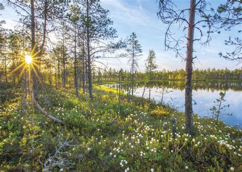 Information about Saarijärvi - Visit Saarijärvi - Finland