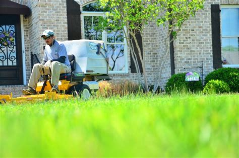 5 Reasons To Invest In Professional Lawn Care Services Posh Classy Mom