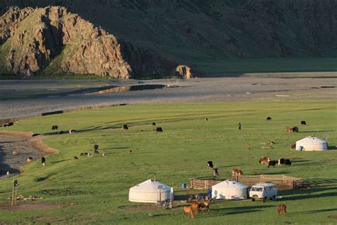 Mongolia Nomadic Steppe Gers Britannica