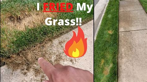 I Burned My Grass Using Scotts Weed And Feed Fertilizer Burn Youtube
