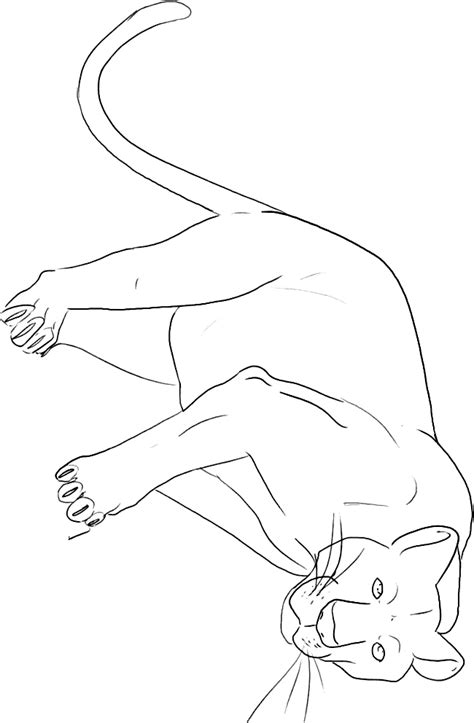 Panther coloring page - Animals Town - animals color sheet - Panther