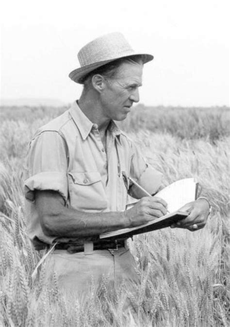Norman Borlaug Dies At 95 Revolutionized Grain Agriculture And Won