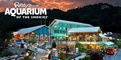 Ripleys Aquarium Of The Smokies Voted Best Aquarium In North America