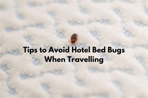 Tips To Avoid Hotel Bed Bugs When Travelling