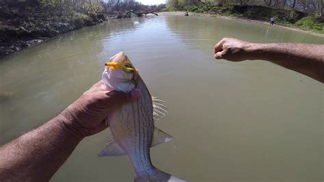 Pesca En Texas Youtube