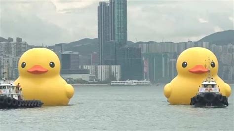Two Giant Rubber Ducks Debut In Hong Kong In Bid To Drive Double
