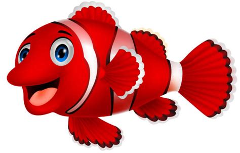 Red Clown Fish Cartoons Illustrations Royalty Free Vector