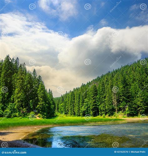 Pine Forest And Lake Near The Mountain Stock Photo Image Of Clear