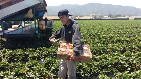 Salinas Valley Startup Food Origins Harvests Fieldwork Data Fruit