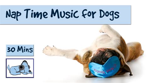 30 Minutes Of Doggy Sleep Music The Perfect Nap Time