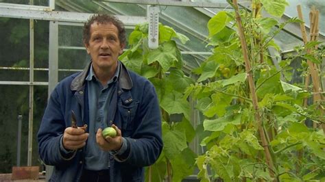Bbc Two Gardeners World 2012 Episode 19 Success With Cucumbers
