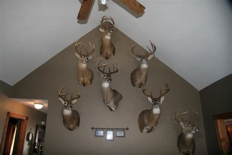 Vtge Mounted Deer Antlers Hunted In Texas Taxidermy Home And Living