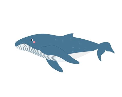 Cute Whale On White Background In Cartoon Flat Style Vector