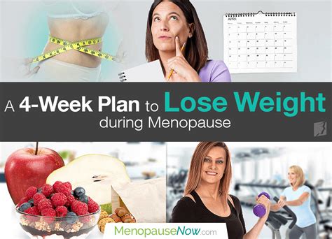 Best Diet For Menopause Weight Gain 27 How To Plan A Wedding Step By Step