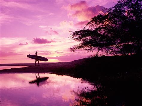 Purple Surfing Wallpaper Hawaii Wallpaper Surfing