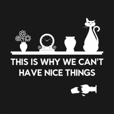 This Is Why We Cant Have Nice Things Cat T Shirt Teepublic