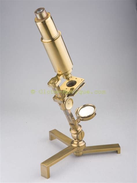 Compound Carpenter Microscope C1800 England Antique Scientific And