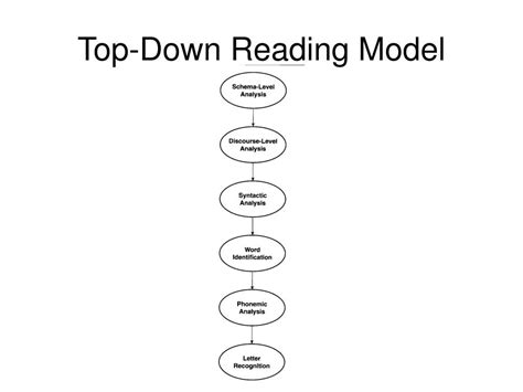 Top Downreading Theory Ourboox