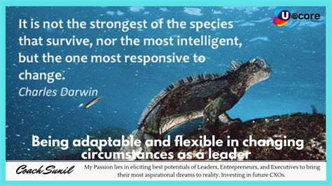11 Being Adaptable And Flexible In Changing Circumstances
