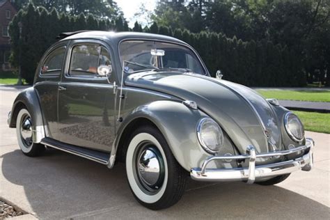 Vintage Vws For Sale Vw Beetles Classic Volkswagen