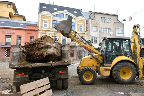 Excavator Used To Dig Up Tree Stumps And Roots Stock Image Image Of