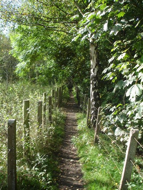 Maybe you would like to learn more about one of these? Straight and Narrow Path by spamuel42 on DeviantArt