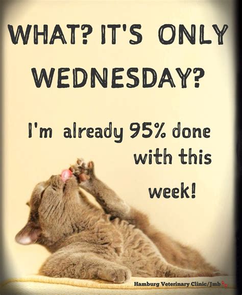 Wednesday Humor Happy Hump Day 🐪 Mid Week Halfway There Animal