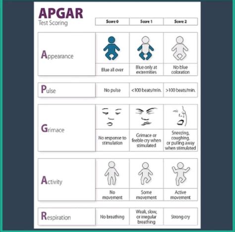 Apgar Score Chart Apgar Score Nursing Mnemonics Virginia Apgar