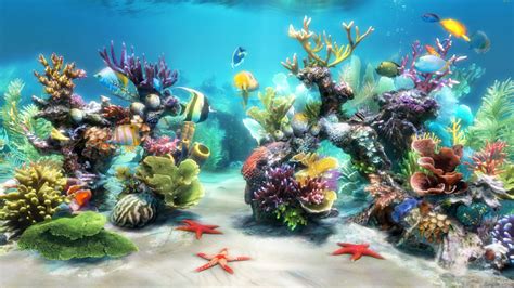50 Aquarium Wallpapers For Windows 8