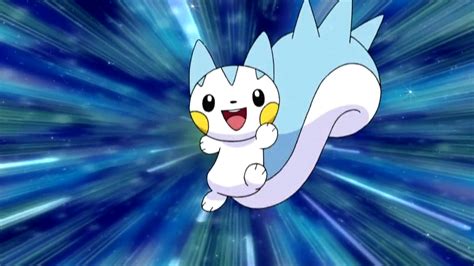 Pachirisu Dawn Pokémon Wiki Fandom Powered By Wikia