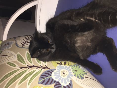 TGIF Blank Template - Imgflip