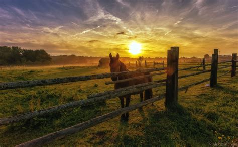 Country Sunsets Country Sunset Cool Landscapes Nature Photos