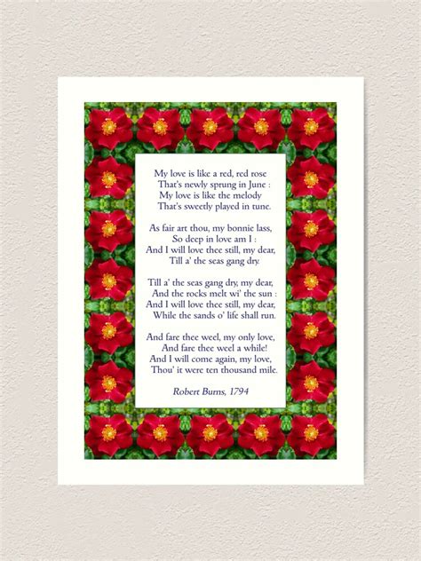 My Love Is Like A Red Red Rose Burns Anglicised Art Print By