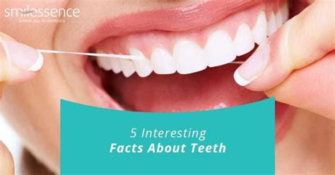 5 Interesting Facts About Teeth Smilessence