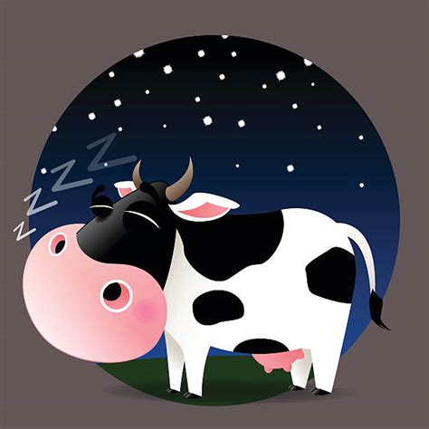 Sleeping Cow Illustrations Royalty Free Vector Graphics And Clip Art