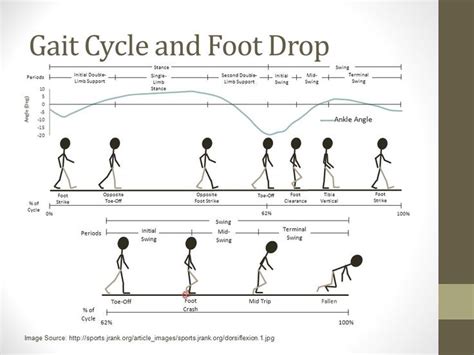 Orthotics For Gait And Drop Foot Yahoo Image Search Results Foot