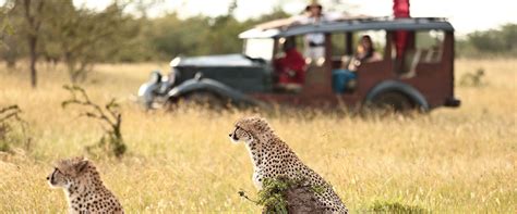 Masai Mara The Luxury Safari Company