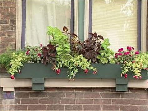 Fushias grow best in partial shade and prefer cooler temperatures. Planting Window Boxes for Shade | DIY